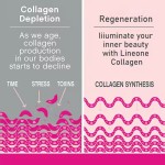 Marine Collagen Drink Supplier - Vitamin C Strawberry Skincare