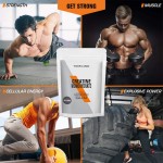 Creatine Monohydrate Factory - 200g 100 Mesh Pure Powder