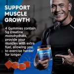 Creatine Monohydrate Gummy Factory - Vegan Weight Gain Candy