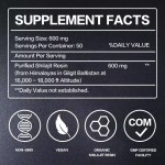 Shilajit Resin Factory - 85% Fulvic Acid Herbal Supplement