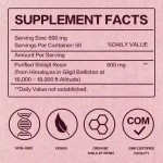 Shilajit Extract Supplier - Multiple Minerals Immune Support