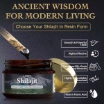 Shilajit Resin Factory - 85% Fulvic Acid Herbal Supplement