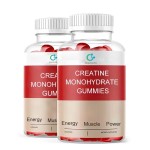 Vegan Creatine Gummies Factory - L-carnitine Women Men