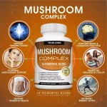 Maitake Capsules Factory - Herbal Immune Support Mushroom