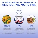 Creatine Monohydrate Gummy Supplier - 5g Pre Workout OEM