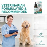Herbal Supplements Manufacturer - OEM Dogs Cats Hip Joint Calming Hemp