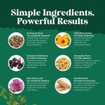 Lymph System Drops Manufacturer - OEM Organic Lymphatic Drainage Elderberry