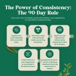 Liposomal Lymphatic Drops Supplier - OEM 2000mg Lymphatic Detox Echinacea