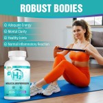 Hydrogen Water Tablets Manufacturer - OEM H2 Hydrogen Tablets Energy Mental