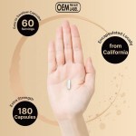 Magnesium Citrate Capsules Factory - OEM 500mg Heart Muscle Sleep Support