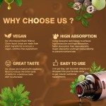 Black Walnut Tincture Factory - OEM 20 in 1 Wormwood Clove Gut Cleanse