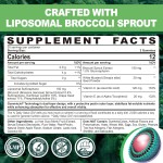 Sulforaphane Gummies Factory - OEM 150mg Broccoli Sprout Extract Vitamin C
