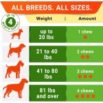 Dog Probiotics Chews Supplier - OEM Digestive Enzymes Gut Health Diarrhea