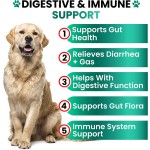Dog Probiotics Chews Supplier - OEM Digestive Enzymes Allergy Relief