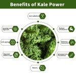Kale Powder Supplier - OEM Organic Green Juice Immune System Fiber