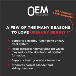 Berry Powder Manufacturer - OEM Blueberry Cranberry Urinary Tract Kidney