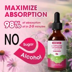 Lymphatic Drainage Drops Manufacturer - OEM Echinacea Elderberry Cleavers Burdock