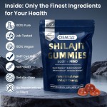 Shilajit Gummies Supplier - OEM Himalayan Ashwagandha Turmeric Energy
