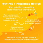 Probiotic Gummies Supplier - OEM Center Filled Prebiotics Fiber Immune