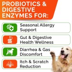 Dog Probiotics Chews Supplier - OEM Digestive Enzymes Gut Health Diarrhea