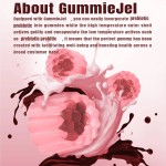 Probiotic Gummies Supplier - OEM Center Filled Prebiotics Fiber Immune