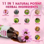 Lymphatic Drainage Drops Manufacturer - OEM Echinacea Elderberry Cleavers Burdock