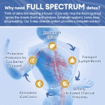 Detox Powder Factory - OEM 29 in 1 Liver Lymphatic Colon Gut Support