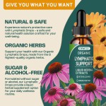 Lymph Detox Drops Factory - OEM Lymphatic Cleanse Echinacea Dandelion