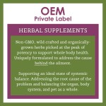 Brain Health Drops Factory - OEM Herbal Supplement Senior Cats Concentration