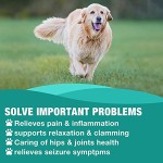 Hemp Seed Oil Drops Factory - OEM Organic Anxiety Relief Stress Calming