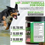 Dog Chews Manufacturer - OEM Immune Health Skin Coat Dental Hip Joint