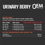 Berry Powder Manufacturer - OEM Blueberry Cranberry Urinary Tract Kidney