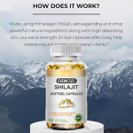 Shilajit Softgel Capsule Supplier - OEM Fulvic Acid Trace Minerals Energy