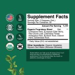 Lymph System Drops Manufacturer - OEM Organic Lymphatic Drainage Elderberry