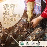 Mushroom Coffee Supplier - OEM Lions Mane Reishi Focus Immunity Memory