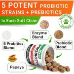 Dog Probiotics Chews Supplier - OEM Digestive Enzymes Gut Health Diarrhea