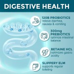 Probiotics Capsules Factory - OEM 120 Billion CFU 35 Strains Gut Support