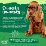 Probiotic Soft Chews Factory - OEM Chicken Turkey Flavor Gut Health