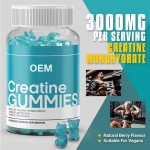 Creatine Gummies Factory - HCL Energy Booster Private