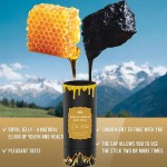 Shilajit Sticks Manufacturer - Fulvic Acid Honey Himalayan
