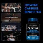 Creatine Monohydrate Capsules Factory - Keto Friendly 120 Capsules