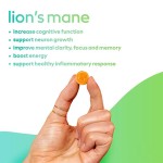 Lions Mane Gummies Manufacturer - Nootropics Brain Supplement