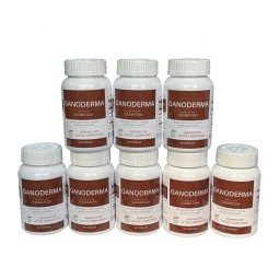 Ganoderma Capsules Manufacturer - Reishi Extract 120 Capsules