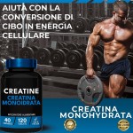 Creatine Monohydrate Capsules Factory - Keto Friendly 120 Capsules