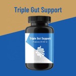 Probiotic Capsules Supplier - Daily Gut Health Balance