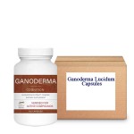 Ganoderma Capsules Manufacturer - Reishi Extract 120 Capsules
