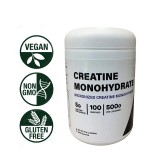 Creatine Monohydrate Powder Factory - 500g Poudre Supplement