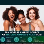 Irish Seamoss Capsules Supplier - 500mg 60 Capsule Immunity