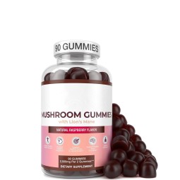 Lions Mane Gummies Manufacturer - Nootropics Brain Supplement