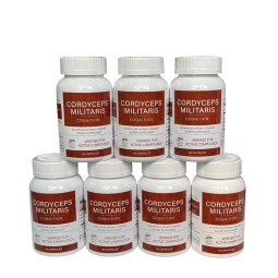 Cordyceps Capsules Factory - Vegan Mushroom 120 Counts